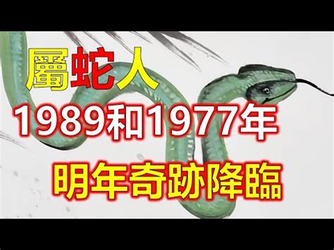 1989是什么蛇|1989属蛇的五行 1989年属蛇蛇是什么命